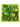 Echtmoos-Panel isoliert dargestellt ohne Hintergrund, zeigt die detaillierte Textur und das lebendige Grün des Mooses