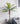 Kunstpflanze Dattelpalme Phoenix canariensis 200 cm