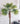 Kunstpflanze Fächerpalme Chamaerops Trachycarpus 200 cm