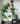 Kunstpflanze Fächerpalme Chamaerops Humilis 180 cm