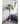 Kunstpflanze Fächerpalme Chamaerops Trachycarpus 200 cm